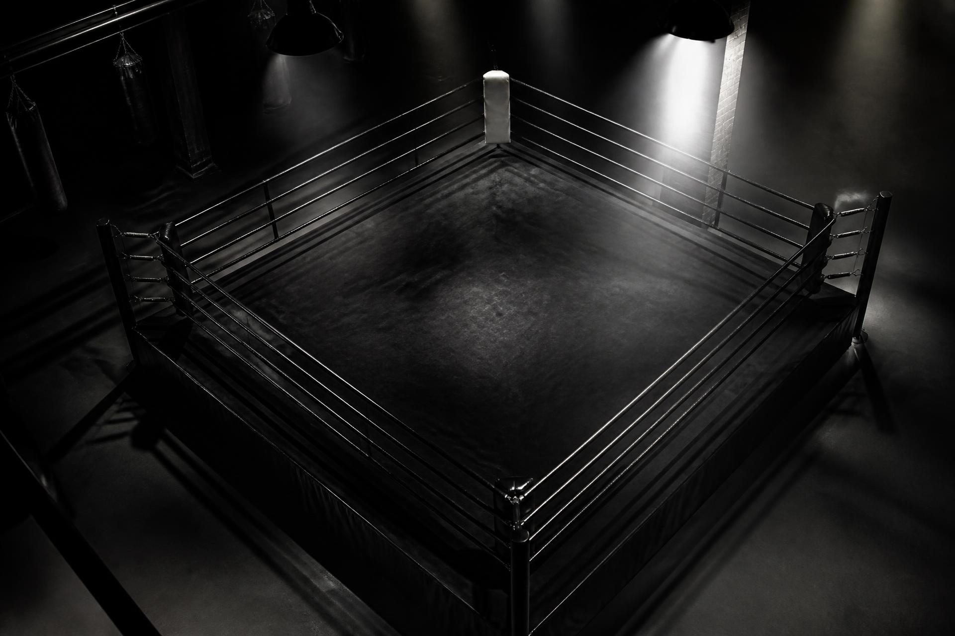 Concept rendering of an empty performance ring under hard overhead lights